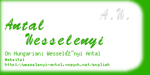 antal wesselenyi business card